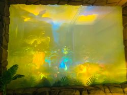 -恐龙探索乐园(磁器口店)