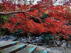 -仲盛世界商城