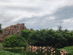 -芽庄珍珠岛游乐园