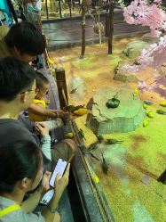 -酷嗒动物文化乐园(cutezoo西溪乐天城店)