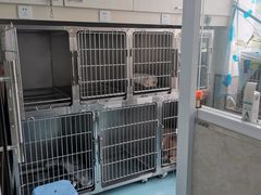 -狗舍宠物医院(四季商业广场店)