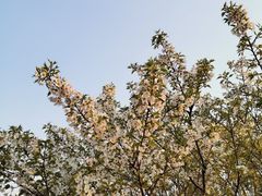 -红莲湖