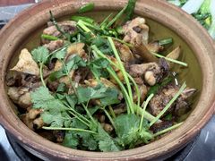 -华仔土鸡店(南洲分店)