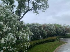-玫瑰海岸文化旅游度假区