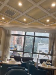 -碧莲盛·不剃发植发