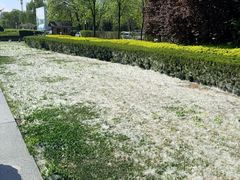 -济南植物园