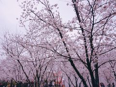 -龙美术馆西岸馆-停车场