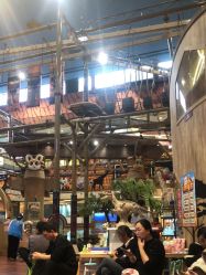 -卡通尼·Safari非洲探索乐园·生日会(金桥国际商业广场店)