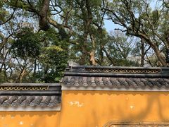 -普陀山风景名胜区-法雨禅寺