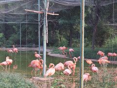 -辛玛王国游乐园