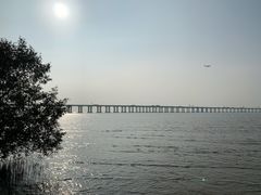 -宝安西湾红树林湿地公园