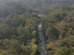 -灵谷景区