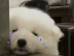 -阿姨卷饼(平凉路店)