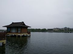 -杭州湾海上花田景区