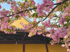 -龙华寺