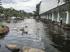 -罗红摄影艺术馆