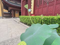 -下海庙