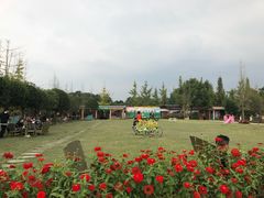 -洪湖家庭农场·团建·露营·会议