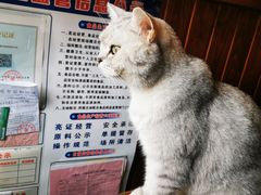 -不舍昼夜咖啡馆