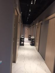 -三只熊皮肤管理中心