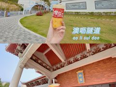 -南澳岛打卡果汁冰公司