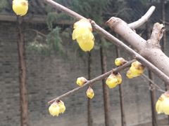 -月坛公园