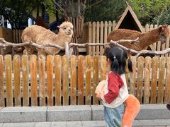 -郑州银基国际旅游度假区