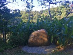 -云溪植物园