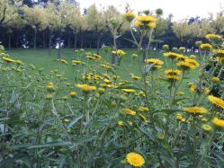 点击看大图 -大望京儿童游乐场