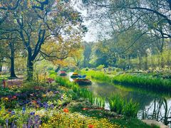 -上海共青森林公园