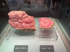 -安徽省地质博物馆