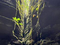 -梭布垭石林景区