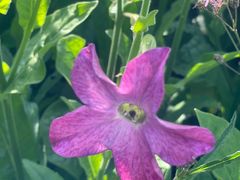 -前小桔亲子创意农场·草莓采摘·露营烧烤