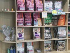 -天使宠物医院·犬猫分诊(彩虹店)