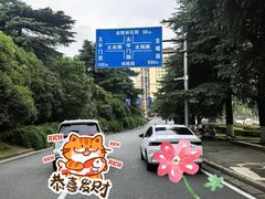 -丁老爷子苏香圆