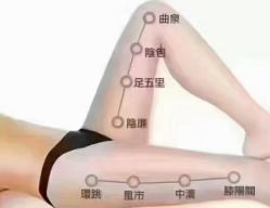 -香薇妮丝·定制减肥·身材管理