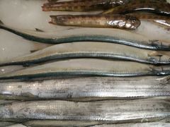 -宏源鑫海鲜餐厅·海景婚宴厅(石老人店)