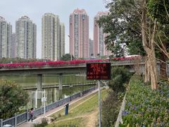 -人民公园(罗湖区)