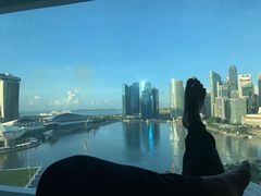 -新加坡文华东方酒店