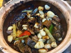 -天宝食坊·啫啫煲大排档(西华路店)