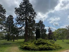 -牛津大学