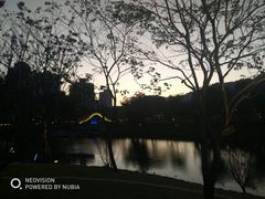 -四海公园(南山区)