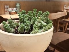 -龙治汉堡(中华城店)