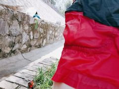 -十渡高山漂流