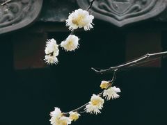 -钱王祠