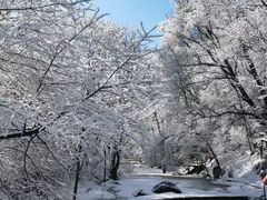 -香炉山国家森林公园