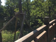 景点-崂山仰口游览区