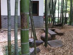 -木子山庄·安徽省老字号·中国炖锅宴