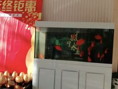 -中科领军口腔