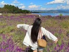 -抚仙湖禄充风景区